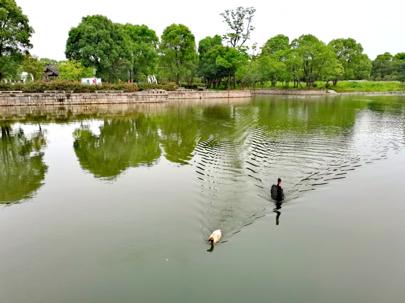 《传承》 摄影：张迺英