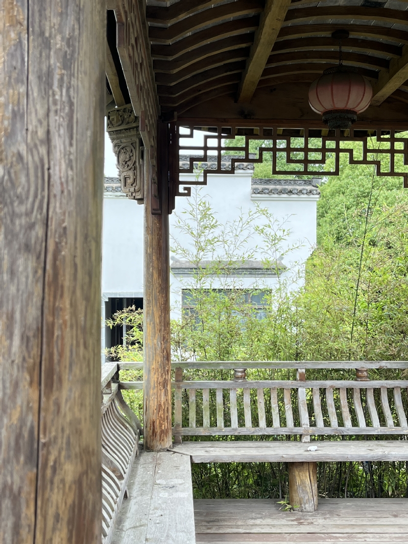 《木》 摄影：杨轩